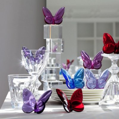 ambiance_papillon_18