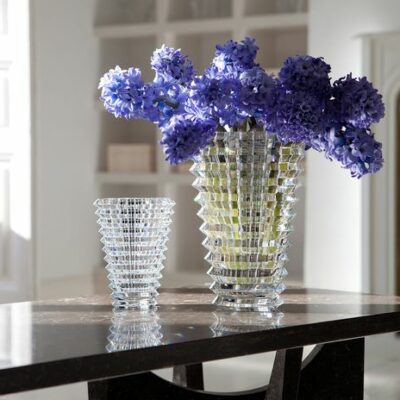 Vase-Eye Vase-Eye