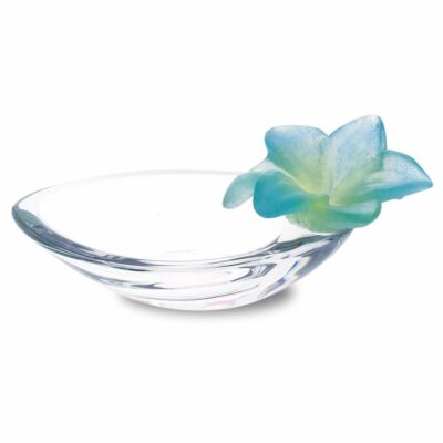 Amaryllis-coupelle-turqoise-turquoise