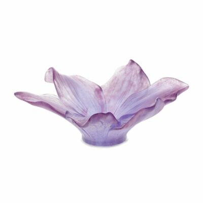 Amaryllis_Vide-Poches_Mauve-Daum