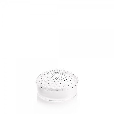 boite-cristal-cactus-lalique