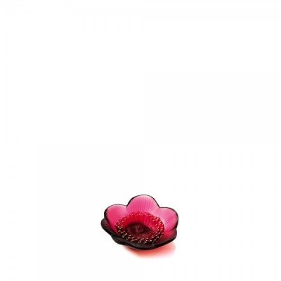 coupelle-anemone-rouge-lalique