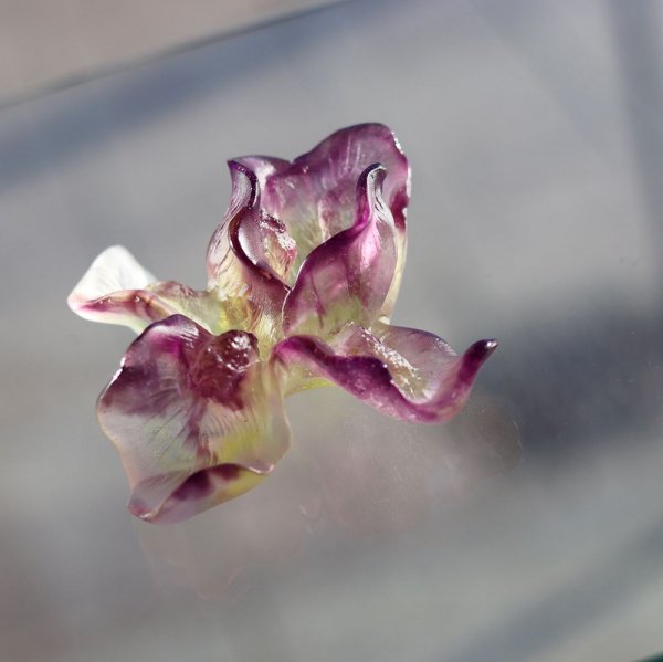 fleur-en-pate-de-verre-iris-daum