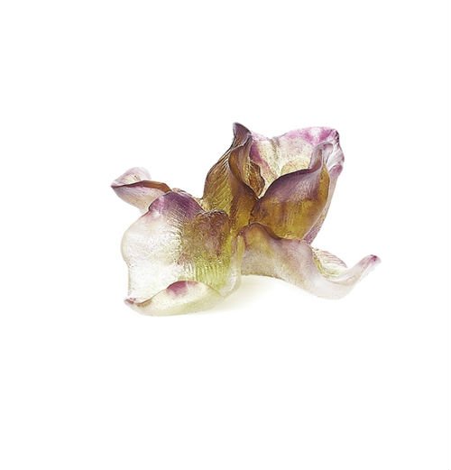 iris-fleur-violette-daum