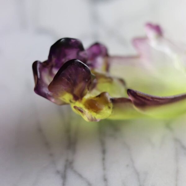 coupelle-iris-daum
