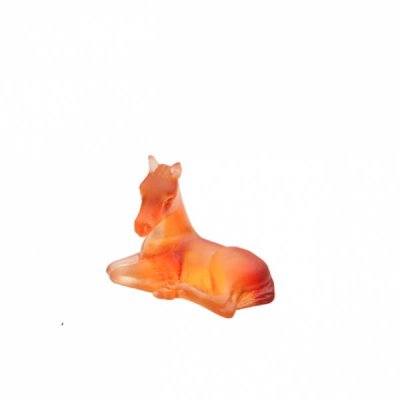 mini-poulain-ambre-daum