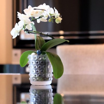 vase-bougie-mossi-incolore-lalique