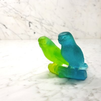 Couple-perruche-Daum Couple-perruche-Daum