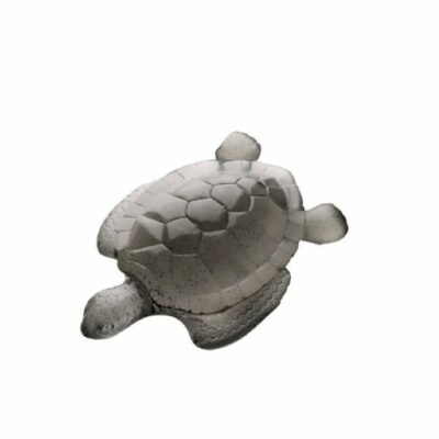 tortue-mer-grise-daum