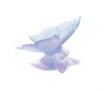 papillon+bleu-lilas-daum