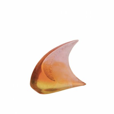 poisson-petit-modele-carnoy-xavier poisson-petit-modele-carnoy-xavier