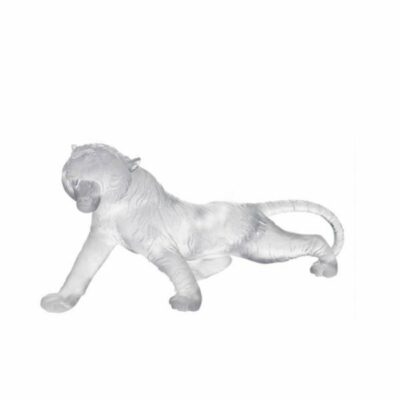 tigre-bengale-daum-blanc
