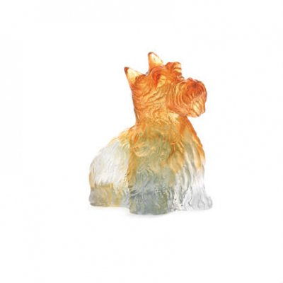 highlander+terrier+ambre-gris+daum