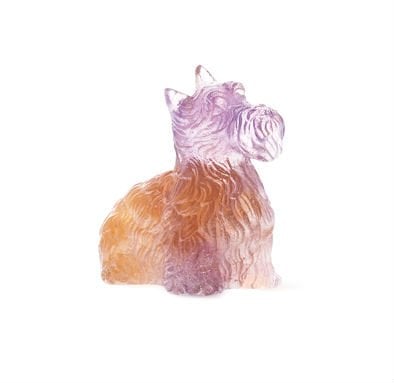 highlander+terrier+ambre-violet+daum