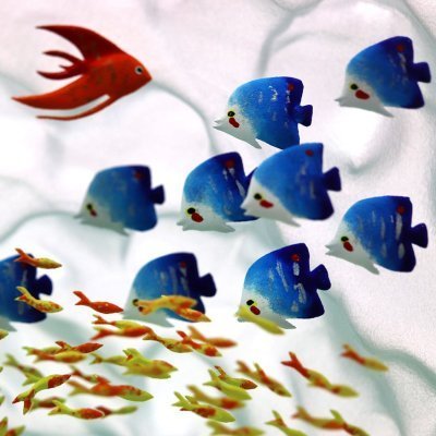 poisson-corallien-verre poisson-corallien-verre