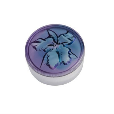 BOITE+CATTLEYA+BLEUE+VIOLETTE+daum