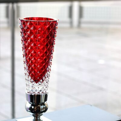 Vase-marcel-wanders-Baccarat Vase-marcel-wanders-Baccarat