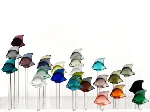 aquarium-poisson-lalique-zoom