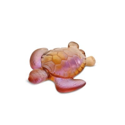 Mini-tortue-aurore-daum
