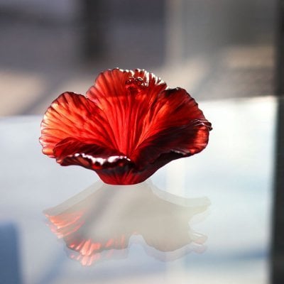 fleur-hibiscus-cristal-rouge-daum sculpture fleur hibiscus en cristal Daum France