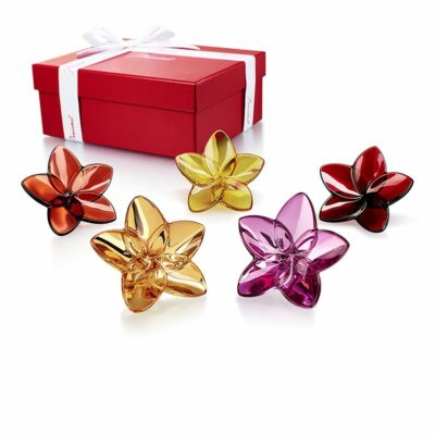 coffret-fleur-bloolm-collection-Baccarat