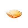 Coupelle-ambre-Ginkgo-Daum