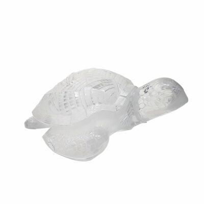 Tortue-marine-Lalique