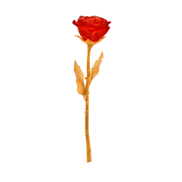 Rose-eternelle-rouge-05590
