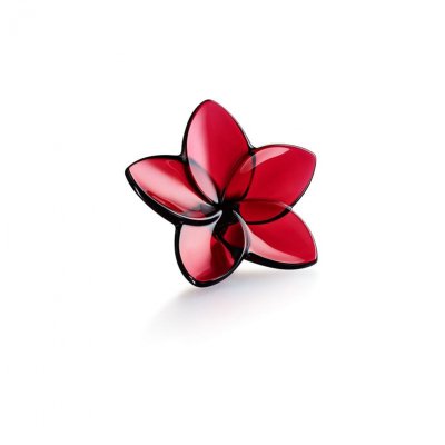 fleur-bloom-rouge-Baccarat