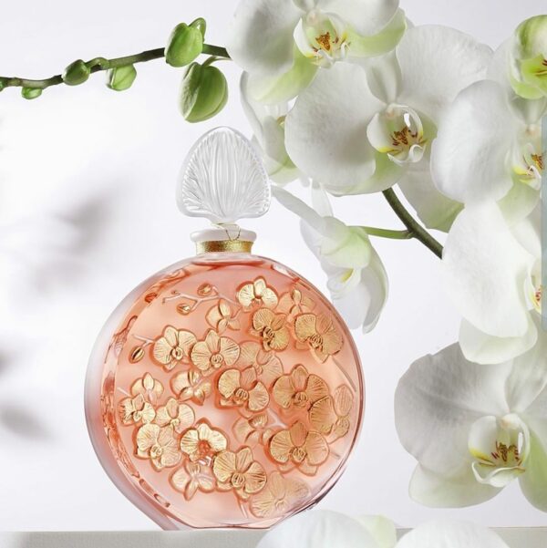 flacon-parfum-anemone-lalique