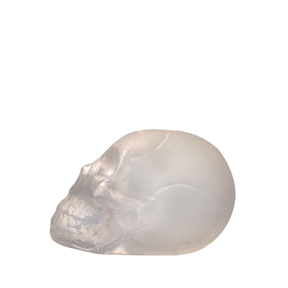 Crâne de Cristal en pâte de verre (Loïc Ortega) | Vessiere Cristaux