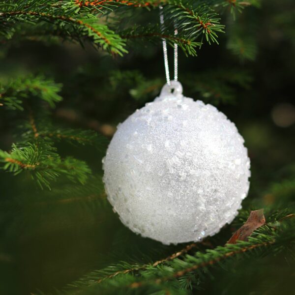 boule de noel en verre blanc et paillette