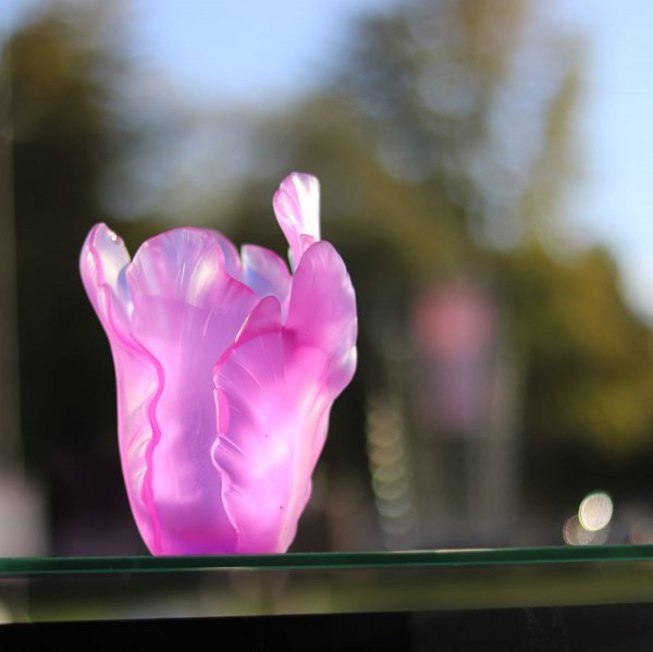 vase-tulipe-ultraviolet-daum