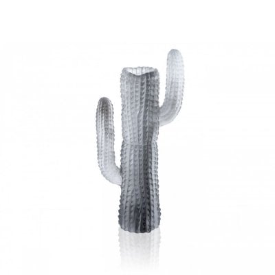 Jardin-de-cactus-vase-GM-gris-daum