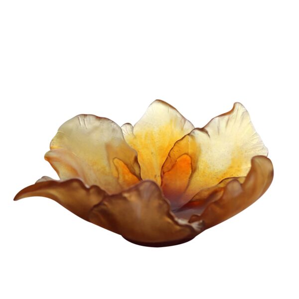 coupe-tulipe-ambre-daum-france
