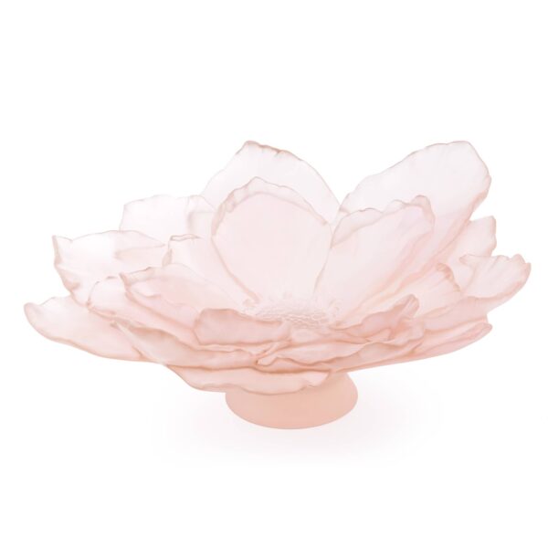 coupe-camelia-rose-daum