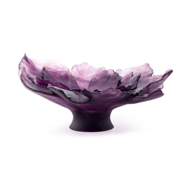 coupe-daum-camelia-gm-violet