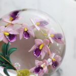 sulfure-orchidee