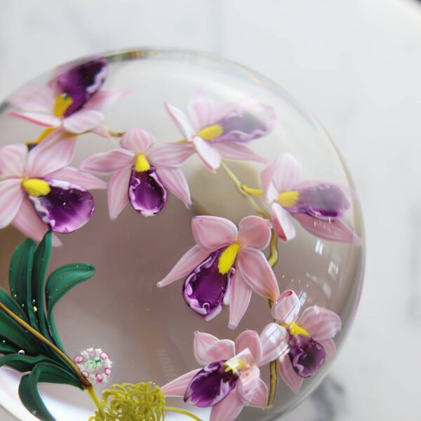 sulfure-orchidee