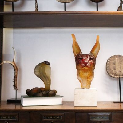 tete-de-caracal-daum