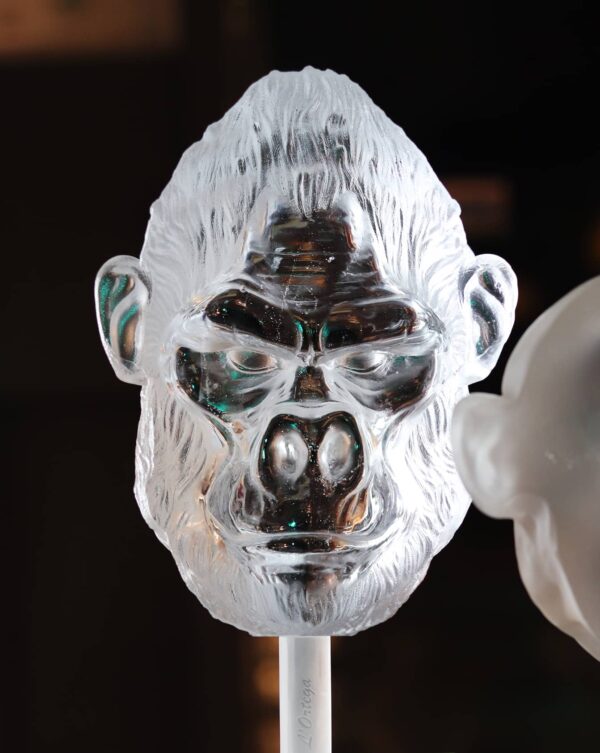 tete-de-gorille-face-arriere-verre
