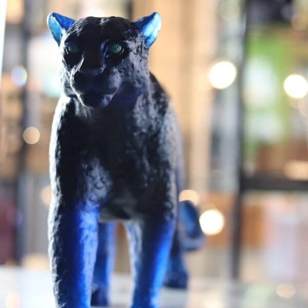 panthere-daum-bleu