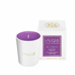 bougie-les-compositions-parfumees-electric-purple-scented-candle