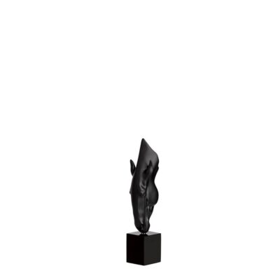 still-water-lalique-noir