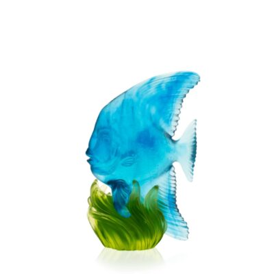 poisson-platax-moyen-modele-bleu-daum