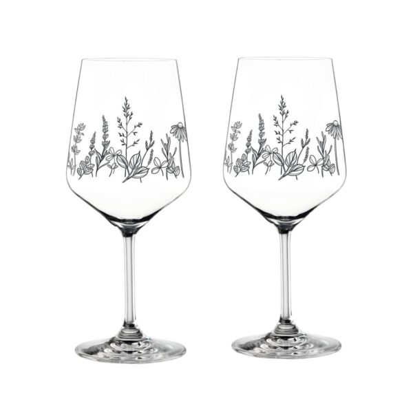 verre-aperol-botanical-gravure-noire-nachtmann