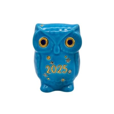 chouette-longwy-2025-bleu (1)