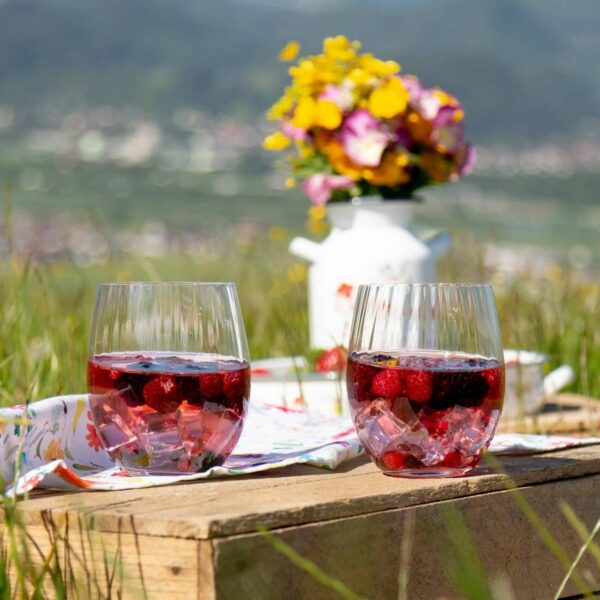 gobelet-gin-riedel