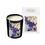 bougie-figue-italie-lalique