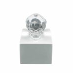 eternal-Memory-crane-cristal-incolore-lalique
